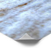 ランディングマラードアヒル3野生動物写真プリント ポスター (角)