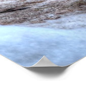 ランディングマラードダックドラクワイルドライフフォトプリント ポスター (角)