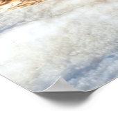 ランディングマラードダックドラクワイルドライフフォトプリント ポスター (角)