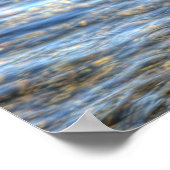 ランディングマラードダックドレイクIIワイルドライフフォトプリント ポスター (角)