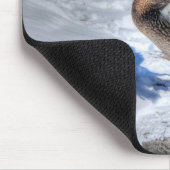 ランディングマラードダックバードラバーワイルドライフフォト マウスパッド (コーナー)