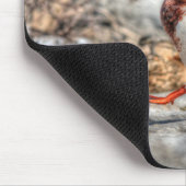 ランディングマラードレイクワイルドライフギフト マウスパッド (コーナー)