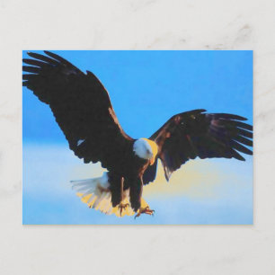 ランディングBald American Eagleはがき ポストカード