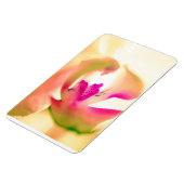 ランデザインフレキシブル光磁石 マグネット (左側)