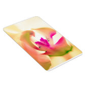 ランデザインフレキシブル光磁石 マグネット (右側)