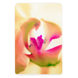 ランデザインフレキシブル光磁石 マグネット