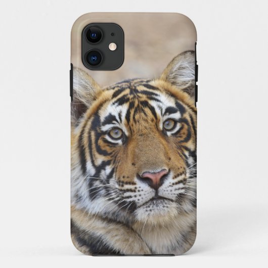 ラントゥンボール国立公園のベンガルトラ Case-Mate iPhoneケース (裏面)