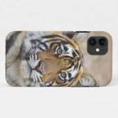 ラントゥンボール国立公園のベンガルトラ Case-Mate iPhoneケース (裏面(横))