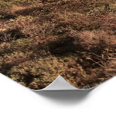 ランドゥドノビーチ：ケープタウン沿岸サンセット ポスター (角)