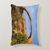 ランドスケープアーチアットアーチズナショナルパーク アクセントクッション (正面(垂直))