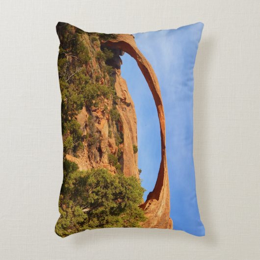 ランドスケープアーチアットアーチズナショナルパーク アクセントクッション (正面(垂直))