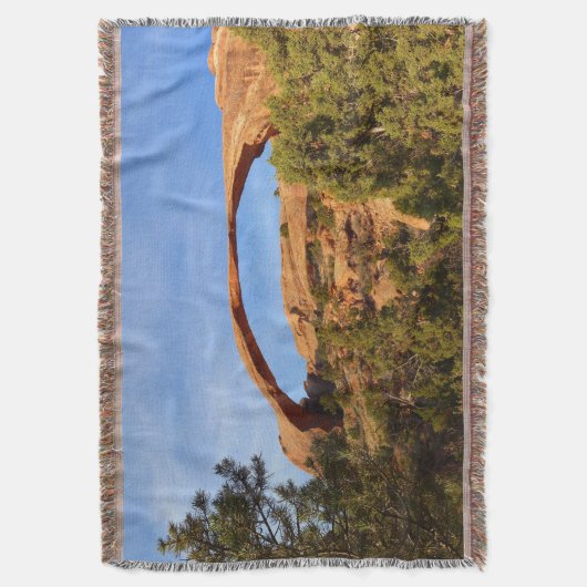 ランドスケープアーチアットアーチズナショナルパーク スローブランケット (正面縦)
