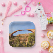 ランドスケープアーチアットアーチズナショナルパーク ペーパープレート (パーティー)