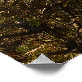 ランドスケープアーチアットアーチズナショナルパーク ポスター (角)