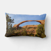 ランドスケープアーチアットアーチズナショナルパーク ランバークッション (裏面)