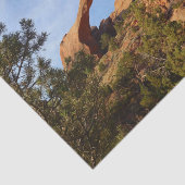 ランドスケープアーチアットアーチズナショナルパーク 薄葉紙 (詳細)