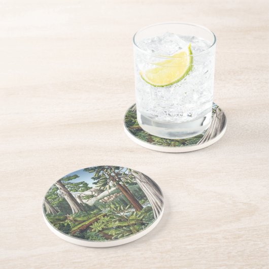 ランドスケープアートコースター旧生育林コースター コースター (側面)