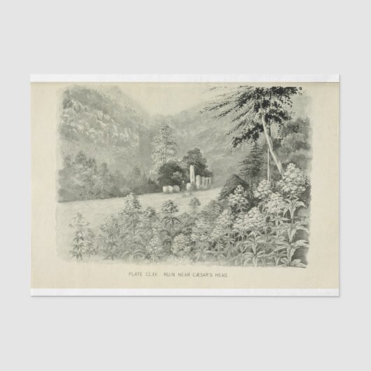 ランドスケープマウンテンフラワーズエフェメラデクページ 薄葉紙 (正面)