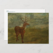 ランドセルを探している ポストカード (正面/裏面)