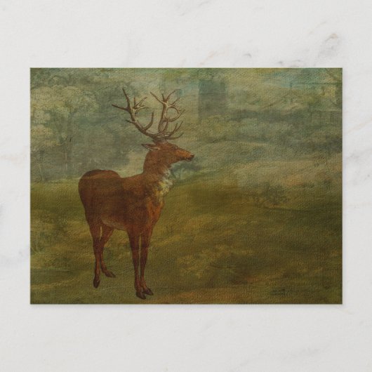 ランドセルを探している ポストカード (正面)