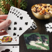 ランドセーラーニューファンドランドドッグトランプ トランプ (インサイチュ)