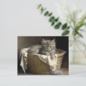 ランドリーまたはプレイタイムグレーキットンポートレート ポストカード (スタンド正面)