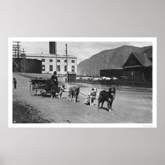 ランドリードッグチームアラスカ1904 ポスター (正面)