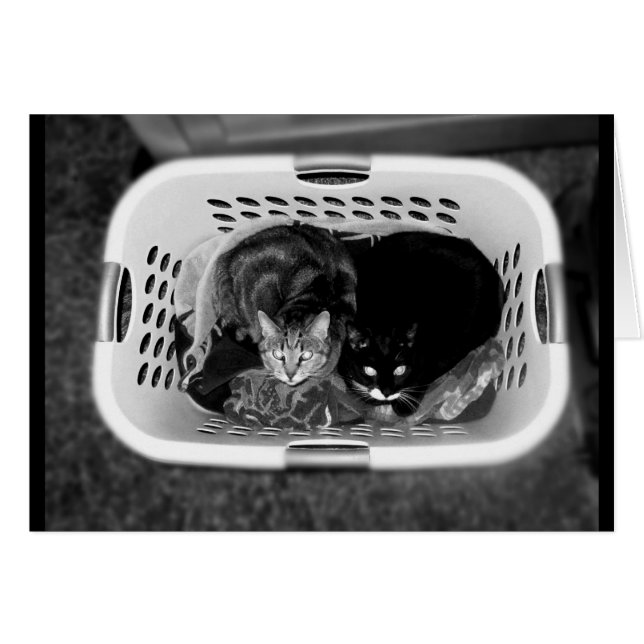 ランドリーバスケット猫ちゃんB+W (正面横)