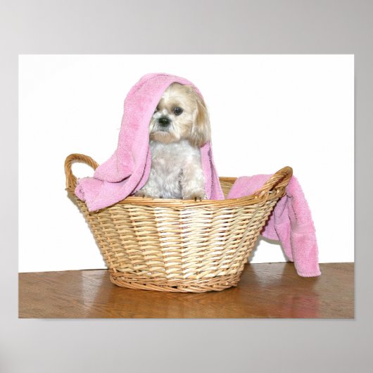 ランドリーヘルパー ポスター (正面)