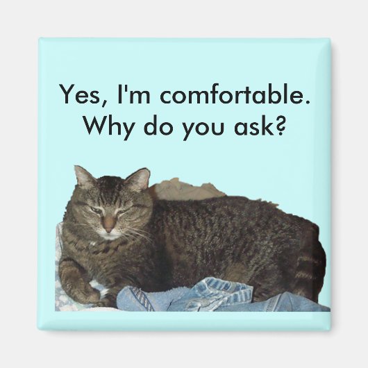 ランドリー猫マグネットで快適 マグネット (正面)