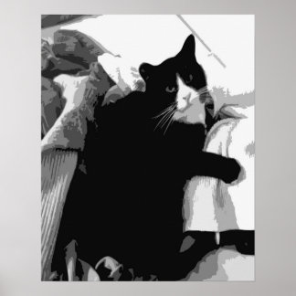 ランドリー・キャット ポスター