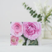 ランナキュラス葉書 ポストカード (スタンド正面)