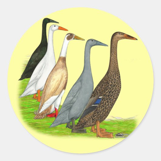 ランナーダックの品揃え ラウンドシール (正面)