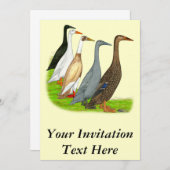 ランナーダックの品揃え 招待状 (正面/裏面)