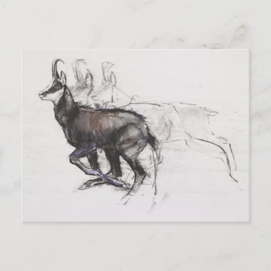 ランニングのシャモア ポストカード (正面)