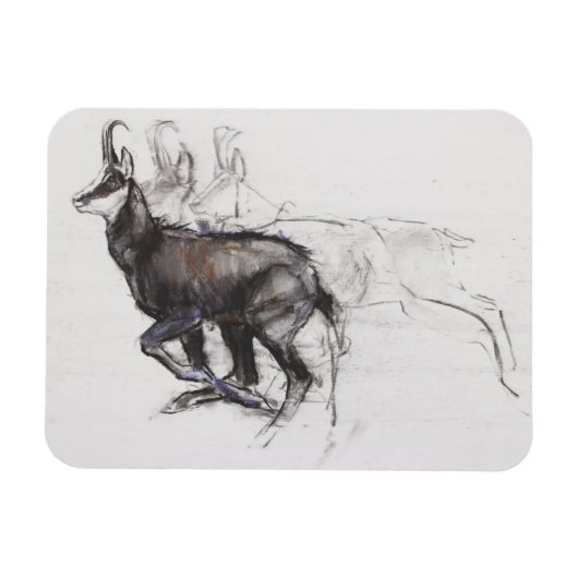 ランニングのシャモア マグネット (横)