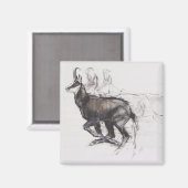 ランニングのシャモア マグネット (正面/裏面)