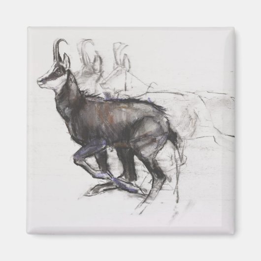 ランニングのシャモア マグネット (正面)