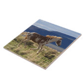 ランニングのスタリオン、スティーンズマウンテンズ、オレゴン タイル (側面)