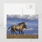 ランニングの恋人 ポストカード (正面/裏面)