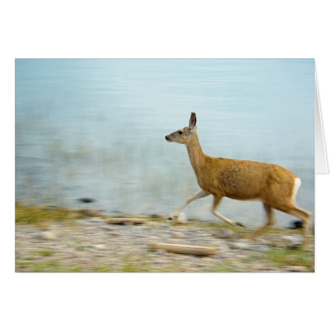 ランニングのDoeカード (正面横)