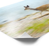 ランニングのFawn写真 フォトプリント (角)