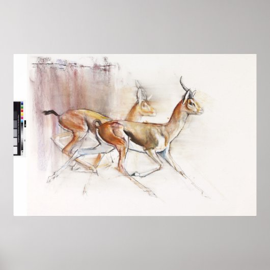 ランニングズアラビアンガゼル2010 ポスター (正面)