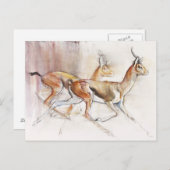 ランニングズアラビアンガゼル2010 ポストカード (正面/裏面)