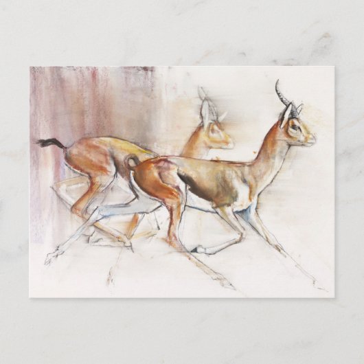 ランニングズアラビアンガゼル2010 ポストカード (正面)