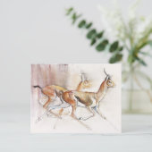 ランニングズアラビアンガゼル2010 ポストカード (スタンド正面)