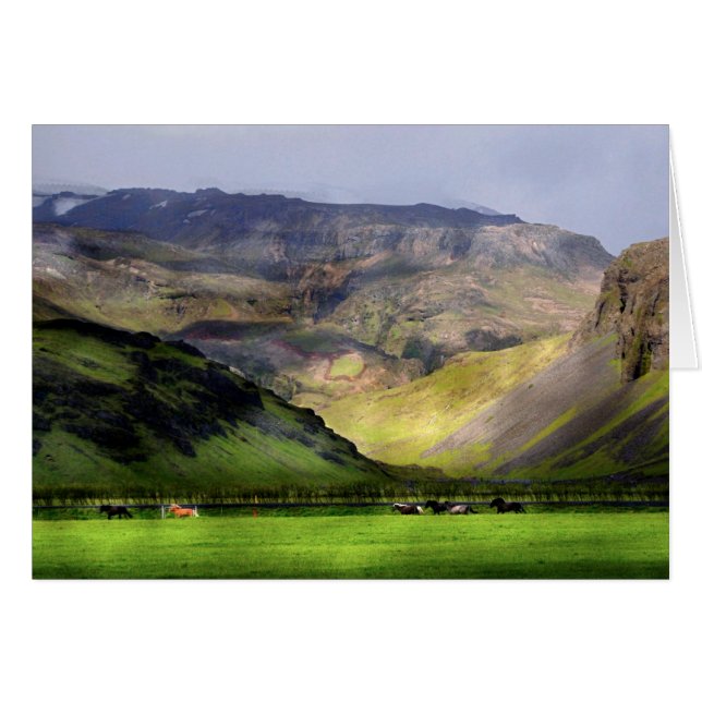 ランニングズウマズアイスランド (正面横)