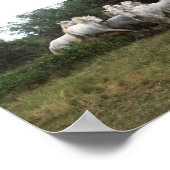 ランニングズグレーホースヘルド ポスター (角)