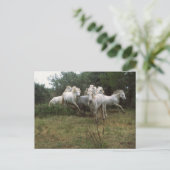 ランニングズグレーホースヘルド ポストカード (スタンド正面)