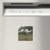 ランニングズグレーホースヘルド マグネット (インサイチュ (食洗機))